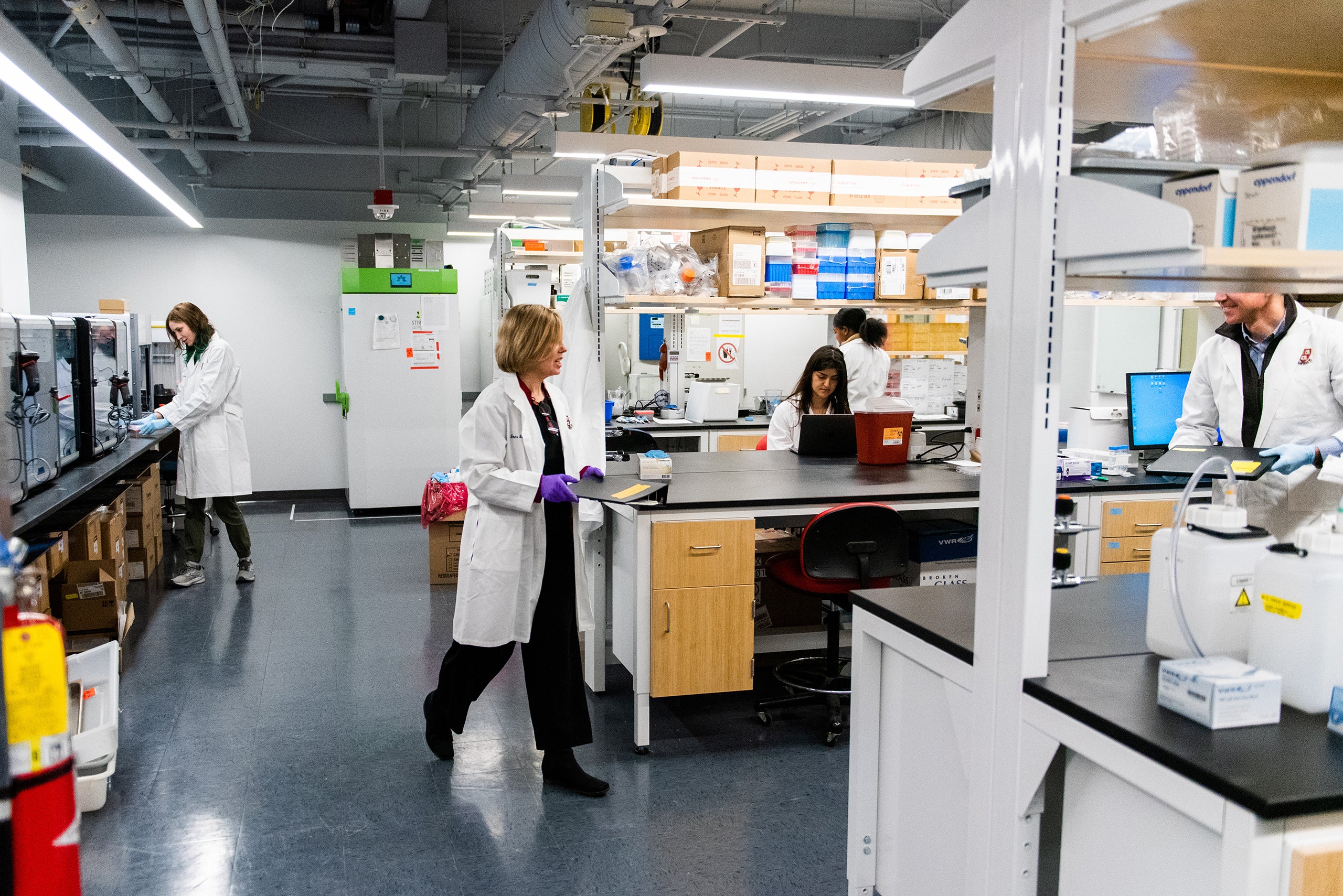 Sarah Fortune and other members of her team working in the lab at the Chan School of Public Health